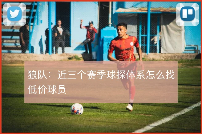 狼队:近三个赛季球探体系怎么找低价球员
