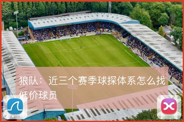狼队:近三个赛季球探体系怎么找低价球员