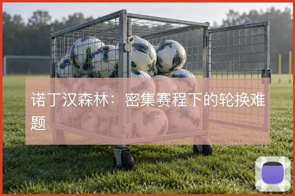 诺丁汉森林:密集赛程下的轮换难题